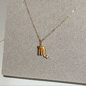 BONY LEVY 14K YELLOW GOLD SCORPIO PETITE HOROSCOPE PENDANT NECKLACE NWT